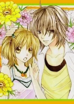 Kimi wa grilfrend